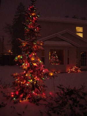 Snow covered lit Christmas tree