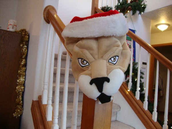 Cougar Santa hat